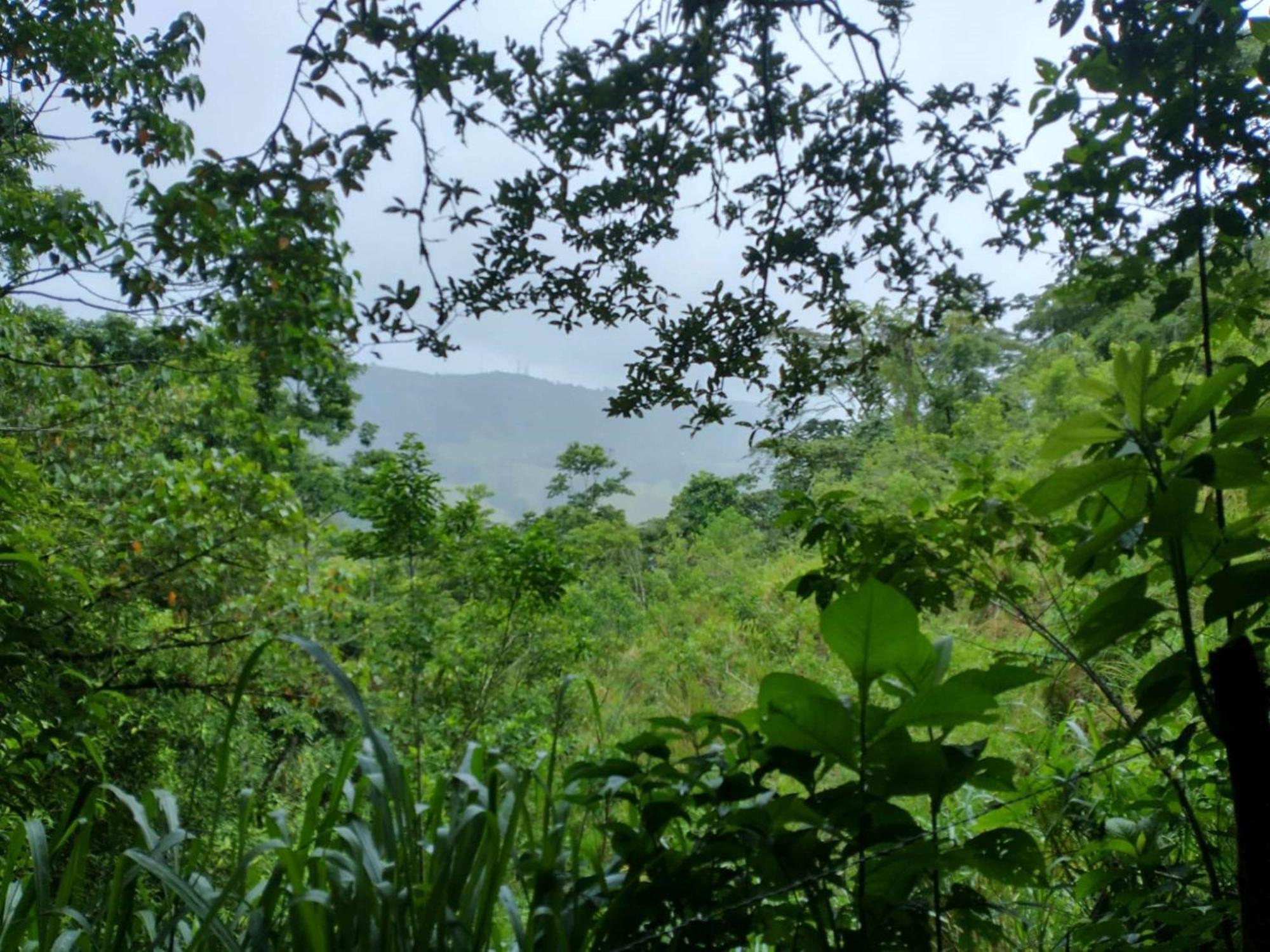 Best Western Hotel & Casino Kamuk Manuel Antonio Exteriér fotografie